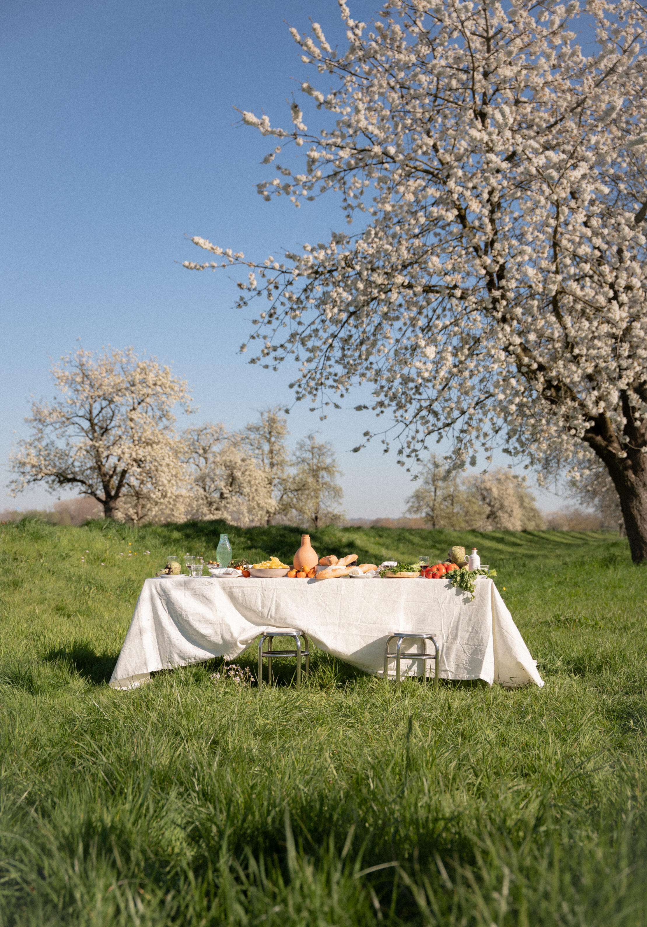 the long table